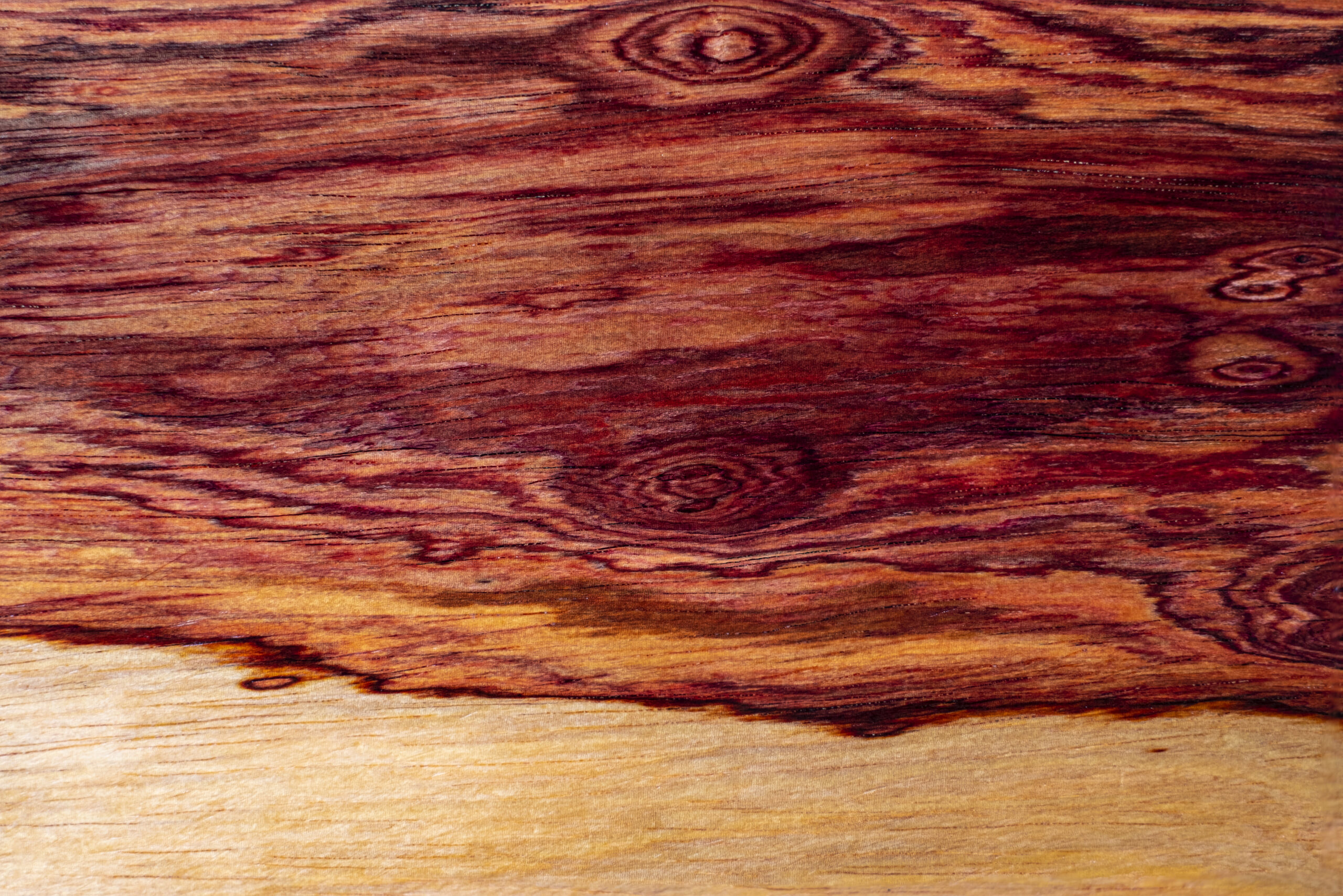 Nature Burmese rosewood exotic wood background